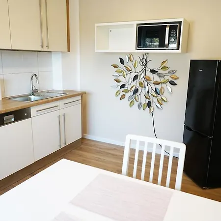 Beautiful Modern 60m2 아파트 레버쿠젠